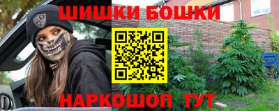 СК Обь