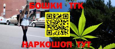 СК Обь
