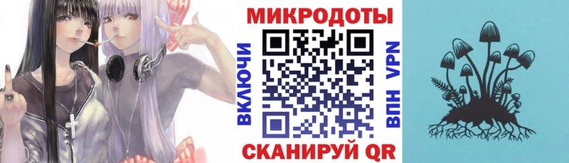 Псилоцибиновые грибы Psilocybe  Троицк 