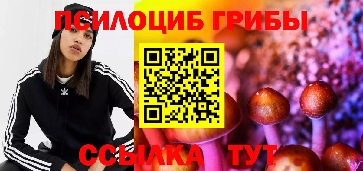 Псилоцибиновые грибы Cubensis Троицк